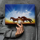 MAC-ASORTED01-SUNRISEHORSES-SHOW-6
